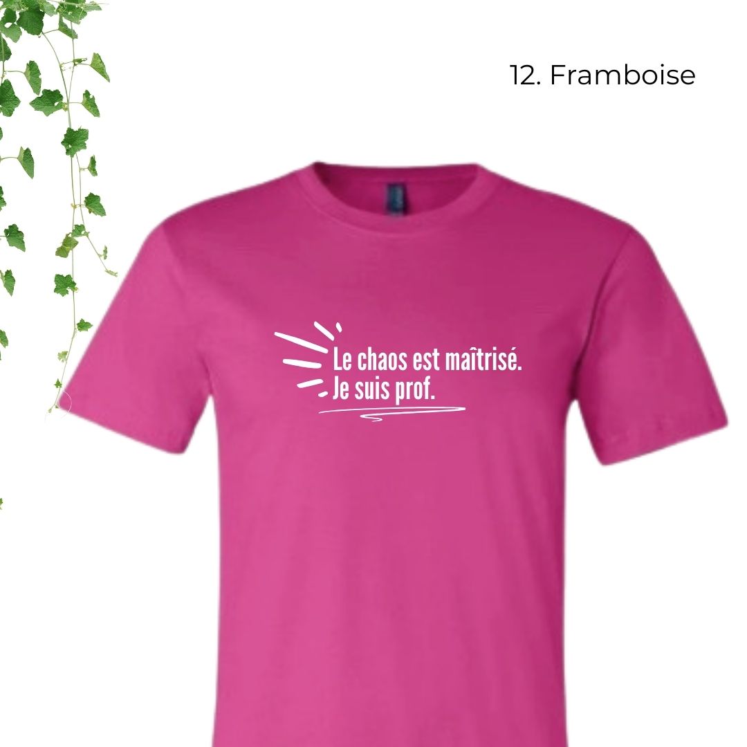 T-Shirt | Le chaos est maîtrisé. Je suis prof