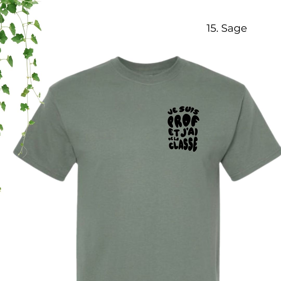 T-Shirt | Je suis prof et j'ai de la classe