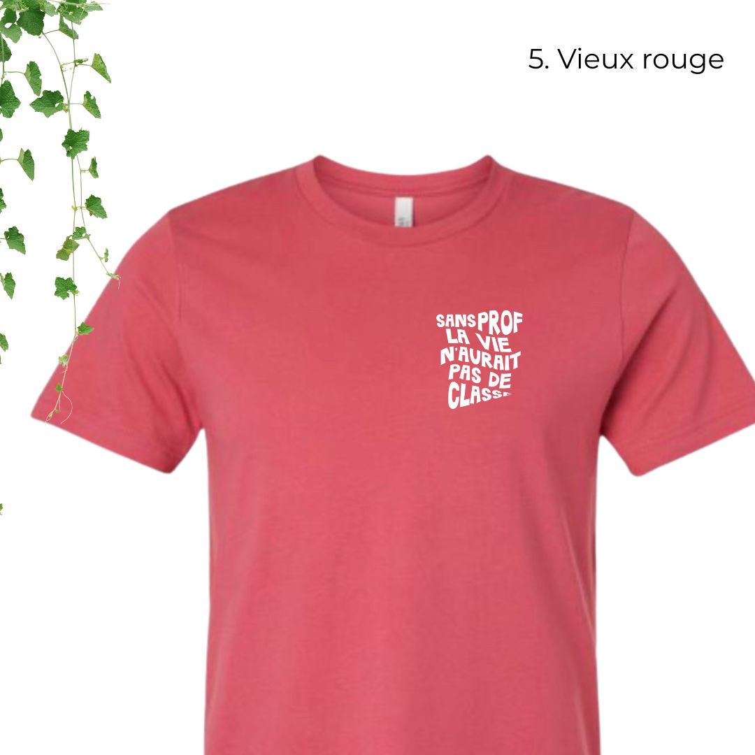 T-Shirt | Sans prof, la vie n'aurait pas de classe