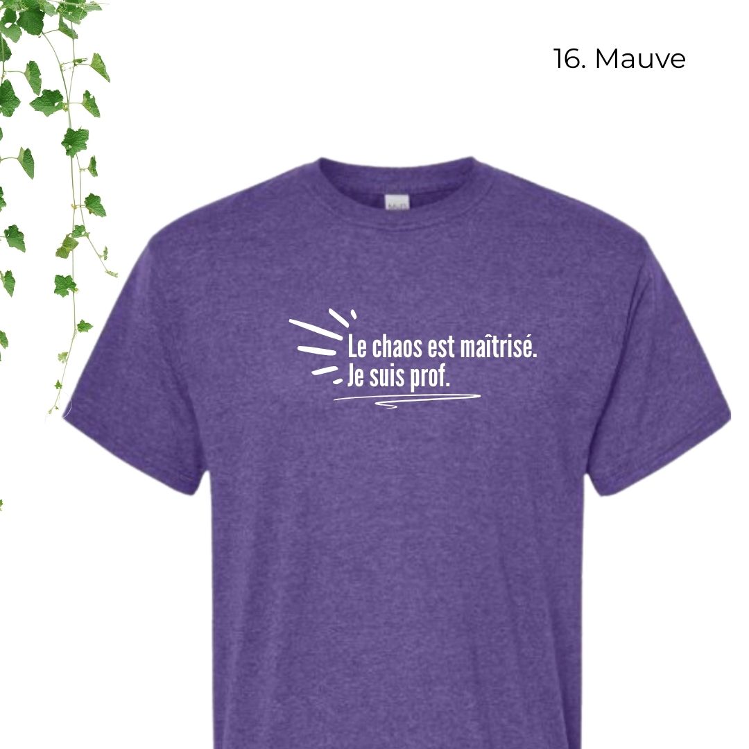 T-Shirt | Le chaos est maîtrisé. Je suis prof