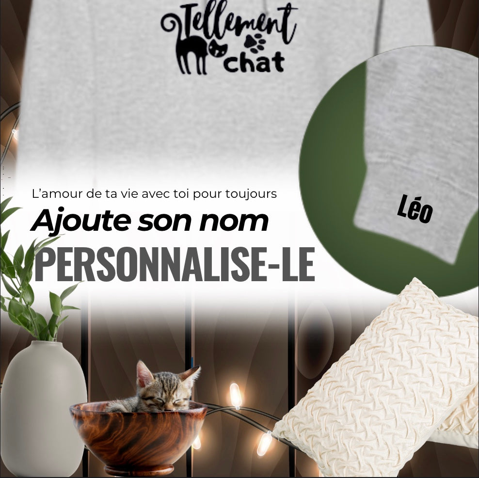 La boîte Chat curieux 🐾 Livraison gratuite