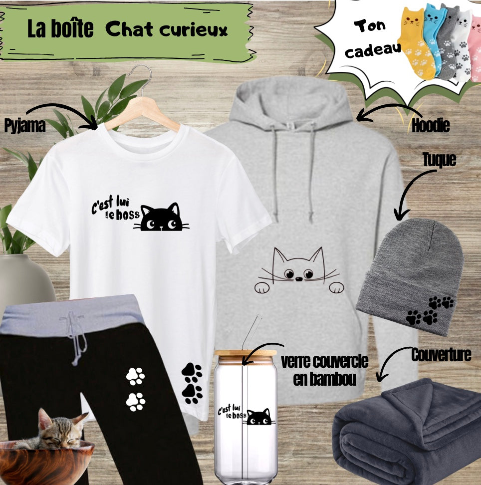 La boîte Chat curieux 🐾 Livraison gratuite