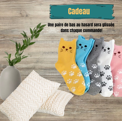 La boîte Chat-titude 🐾 Livraison gratuite