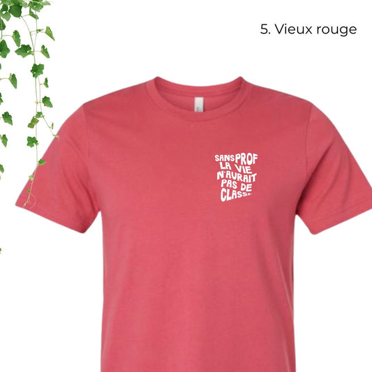 T-Shirt | Sans prof, la vie n'aurait pas de classe