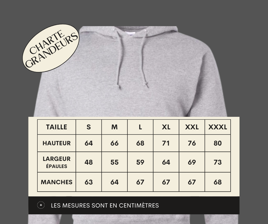 Hoodie Gris - Chat Curieux